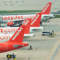 dogs on easyjet flights