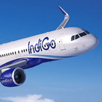 Indigo airlines