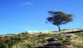 Accessible Travel: Derbyshire, Disabled Tourist Paradise