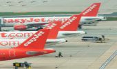 Guide dog Joey first member of the easyjet Furry Flight Club