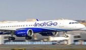 Paralyzed Man Has Wheelchair Seized by IndiGo Staff